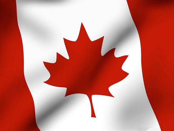 Canadian Flag – MV Group image